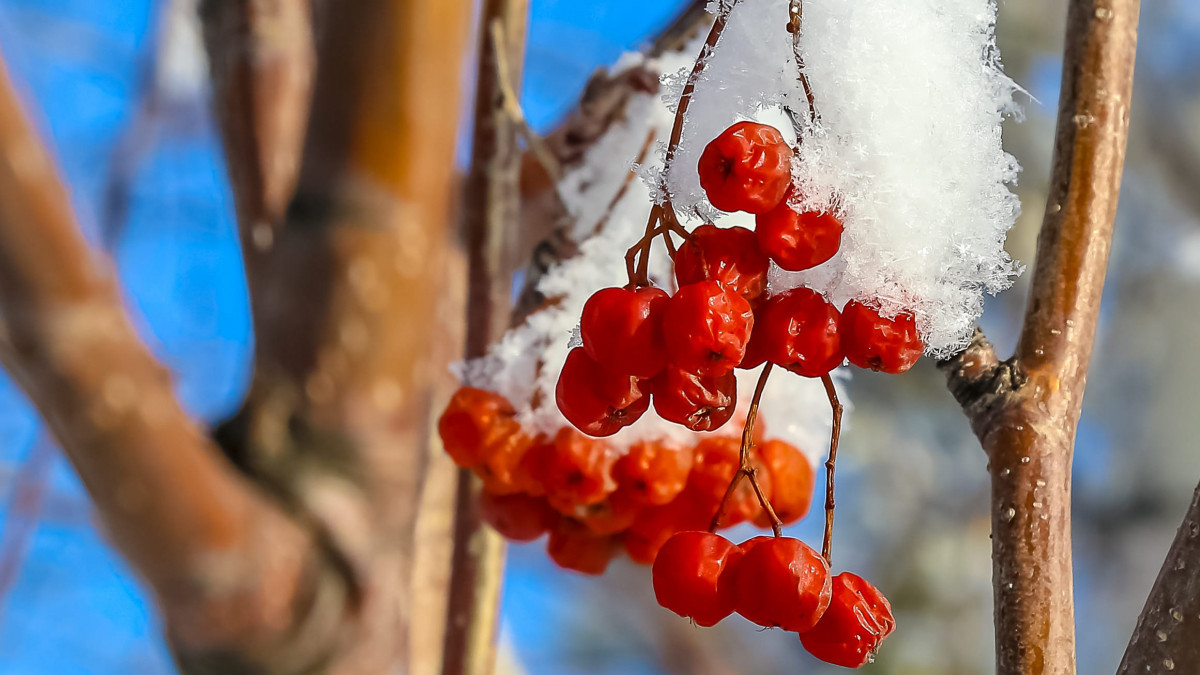  ©BAQ.KZ архиві