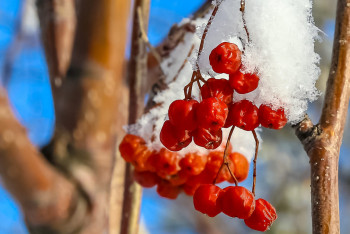 47 жылда алғаш рет: Қазақстанда желтоқсанда бұрын-соңды болмаған ауа райы тіркелді