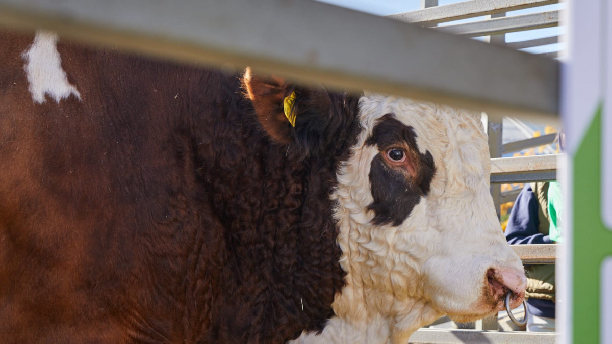  ©BAQ.KZ архиві/Ғазиз Шәкіров