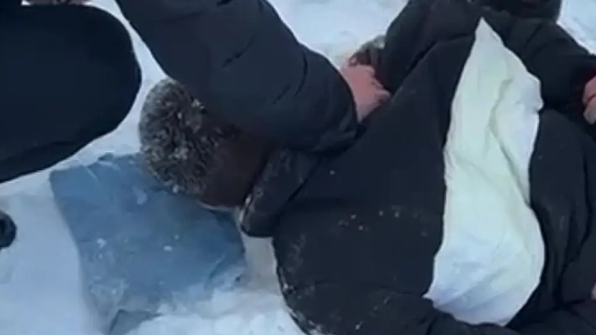  Видеодан кадр