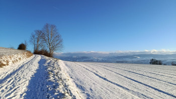 Фотография к новости: Қар жауып, көктайғақ болады: 22 қаңтарда ауа райына байланысты ескерту жарияланды