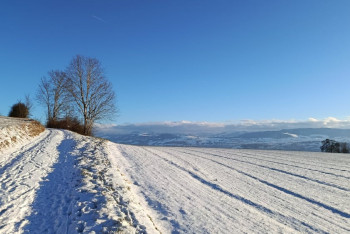 Қар жауып, көктайғақ болады: 22 қаңтарда ауа райына байланысты ескерту жарияланды