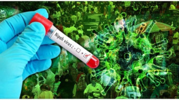 Фотография к новости: Үндістанда өлімге әкелетін Нипах вирусы таралып жатыр