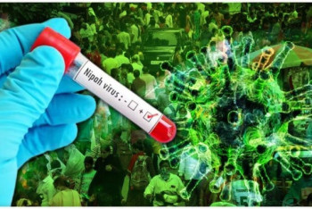 Фотография к новости: Үндістанда өлімге әкелетін Нипах вирусы таралып жатыр