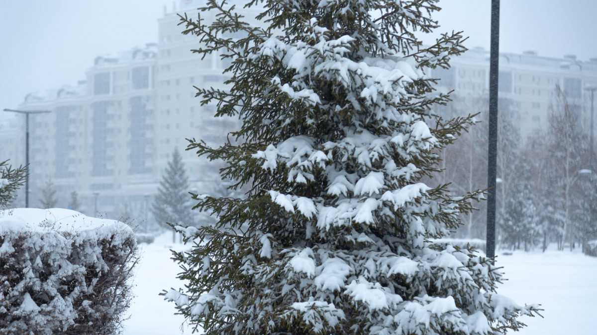  ©BAQ.KZ архиві/ Артём Чурсинов