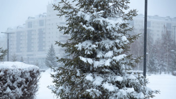 Фотография к новости: Толық болжам: Қазақстанда ақпан айында күн райы қандай болады?