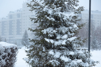 Толық болжам: Қазақстанда ақпан айында күн райы қандай болады?