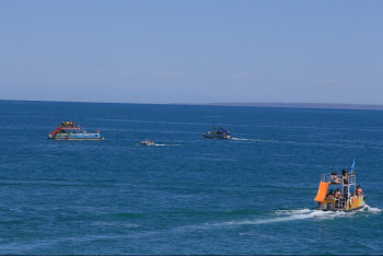 Фотография к новости: Алакөл жағалауының туристік инфрақұрылымы жақсартылады