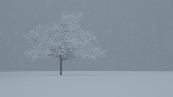 Фотография к новости: "Қар, тұман, аяз". Ертең бірқатар өңірде дауылды ескерту жарияланды