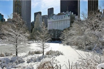 Фотография к новости: АҚШ-тағы қысқы дауыл қайғылы жағдайға ұласты