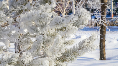 −30°C дейін аяз, қар: 28 қаңтарға арналған ауа райы болжамы