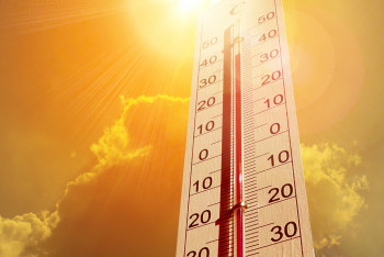 Фотография к новости: Температура 50 °C-қа жетті: Австралияда рекордтық аптап ыстық тіркелді