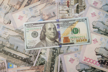 Фотография к новости: Қазақстанның жеке секторына OPEC қоры тікелей қаржы бөледі