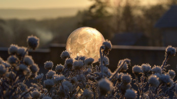 Фотография к новости: Астанада тұман мен аяз, Алматы +7 градусқа дейін жылынады: Үш күндік ауа райы болжамы