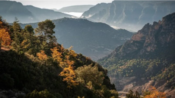 Фотография к новости: Мьянмада театр әртістері мінген автобус шатқалға құлап, 12 адам қаза тапты