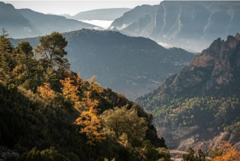 Фотография к новости: Мьянмада театр әртістері мінген автобус шатқалға құлап, 12 адам қаза тапты