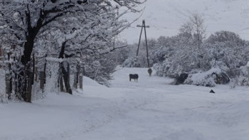 Фотография к новости: Боран, жаңбыр, көктайғақ: 31 қаңтарға арналған ауа райы болжамы