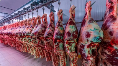 Қазақстан Кувейтке ет экспорттау жөнінде келісімге келді