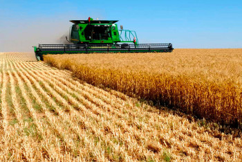 Фотография к новости: Қайтарылған 8,5 млн гектар ауыл шаруашылығы жері халық игілігіне берілді