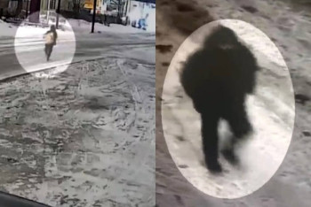 Фотография к новости: Қарағандыда полиция ірі көлемдегі ұрлықтың бетін ашты