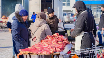 Фотография к новости: Елордада кезекті ауыл шаруашылығы жәрмеңкесі өтіп жатыр