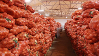 Фотография к новости: Жамбылда ауыл шаруашылығы бойынша 18 инвестициялық жоба іске қосылады