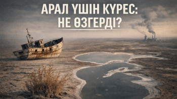 Фотография к новости: Арал – ұлттық жауапкершілік: Өңірдегі жұмыстар қандай нәтиже беріп жатыр?