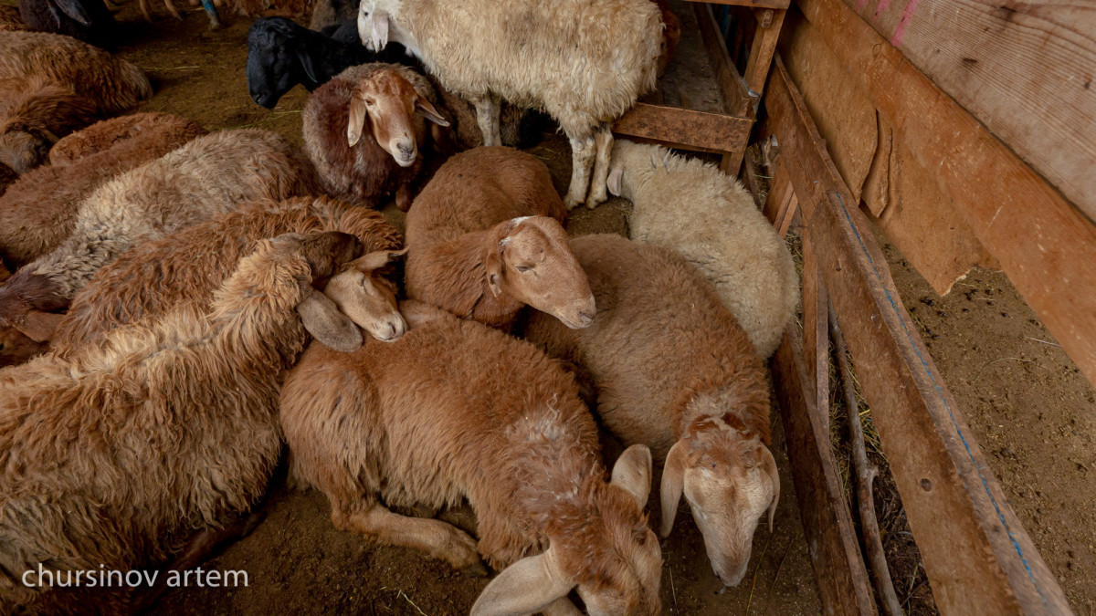  ©BAQ.KZ архиві/Артем Чурсинов