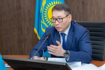 Шаққалиев Конституция жобасының бизнеске әсерін түсіндірді