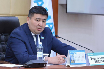 Елнұр Бейсенбаев президент өкілеттігін шектеуге қатысты нормаларға тоқталды