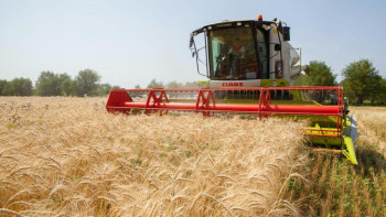 Фотография к новости: Қазақстан Азияға астық жеткізу көлемін екі есеге арттырды