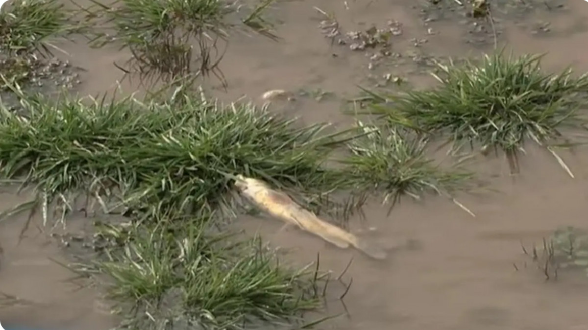  Otyrar.kz / видеодан скрин