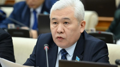 "Ұлы дала" жай ұран емес: Депутат Конституция нормасын түсіндірді