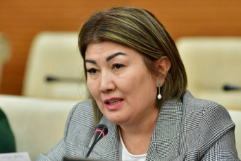 Фотография к новости: Саунаның орнына лагерь ашқан: Депутат тағы бір салаға лицензия енгізуді ұсынды