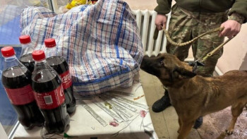 Фотография к новости: Сотталған азаматқа сөмке бауына жасырып есірткі өткізбек болды