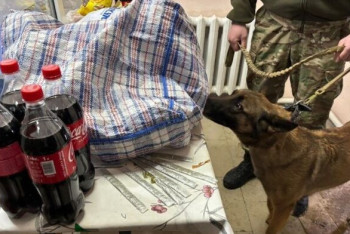 Фотография к новости: Сотталған азаматқа сөмке бауына жасырып есірткі өткізбек болды