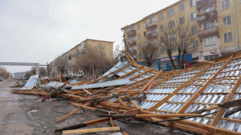 Фотография к новости: Жаңатаста төтенше жағдай жарияланды: Күшті жел үйлер мен электр желілерін зақымдады