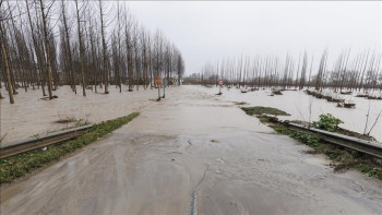 Фотография к новости: Португалияда төтенше жағдай жарияланды