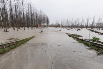 Фотография к новости: Португалияда төтенше жағдай жарияланды