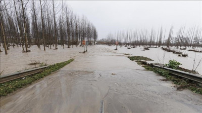 Португалияда төтенше жағдай жарияланды