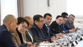 Фотография к новости: Алматыда Конституцияға енгізілетін түзетулерге қолдау білдірілді