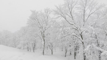 Фотография к новости: Боран, қар, көктайғақ: 16 облыста дауылды ескерту жарияланды