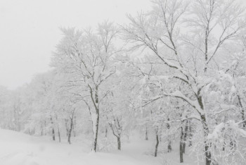 Фотография к новости: Боран, қар, көктайғақ: 16 облыста дауылды ескерту жарияланды