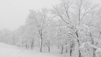 Боран, қар, көктайғақ: 16 облыста дауылды ескерту жарияланды