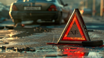 Фотография к новости: Дәрігерге бара жатқан: Ақмола облысында жүкті әйел мен жұбайы жол апатынан қаза тапты