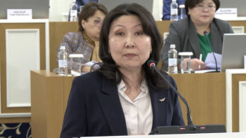 Фотография к новости: Ғылым, инновация және мәдениет: Айгүл Сәдуақасова неге бұл құндылықтар Конституцияның негізін құрайтынын айтты