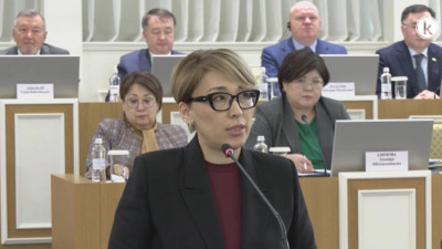 Жаңа Конституцияда цифрлық құқық қорғалады - Еркежан Күнтуғанқызы