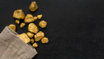 Фотография к новости: Түркістан облысында 12 адам 451 грамм алтынды заңсыз өндірген