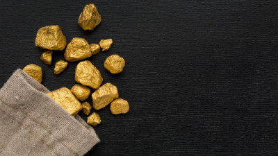 Түркістан облысында 12 адам 451 грамм алтынды заңсыз өндірген