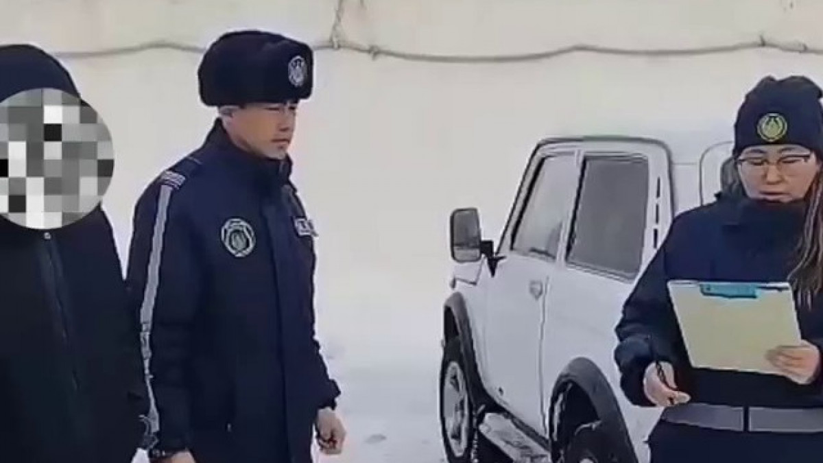  видеодан скриншот